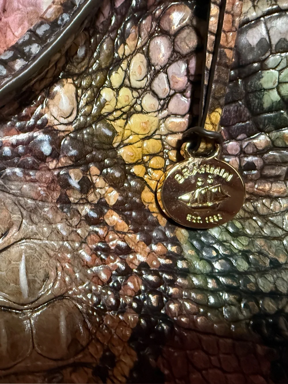 Brahmin colorful croc